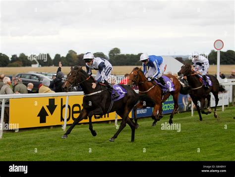 beverley placepot|beverley horse racing today.